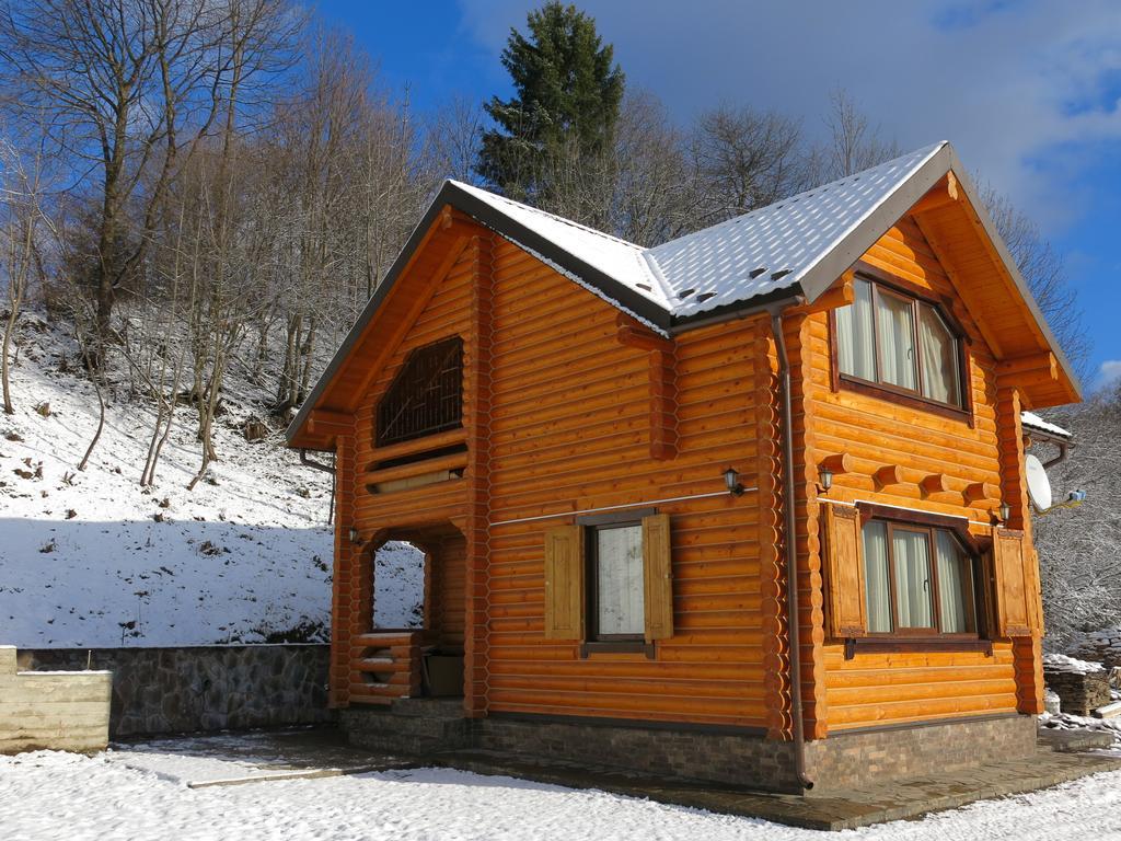 Cottage Goyra 亚列姆切 外观 照片